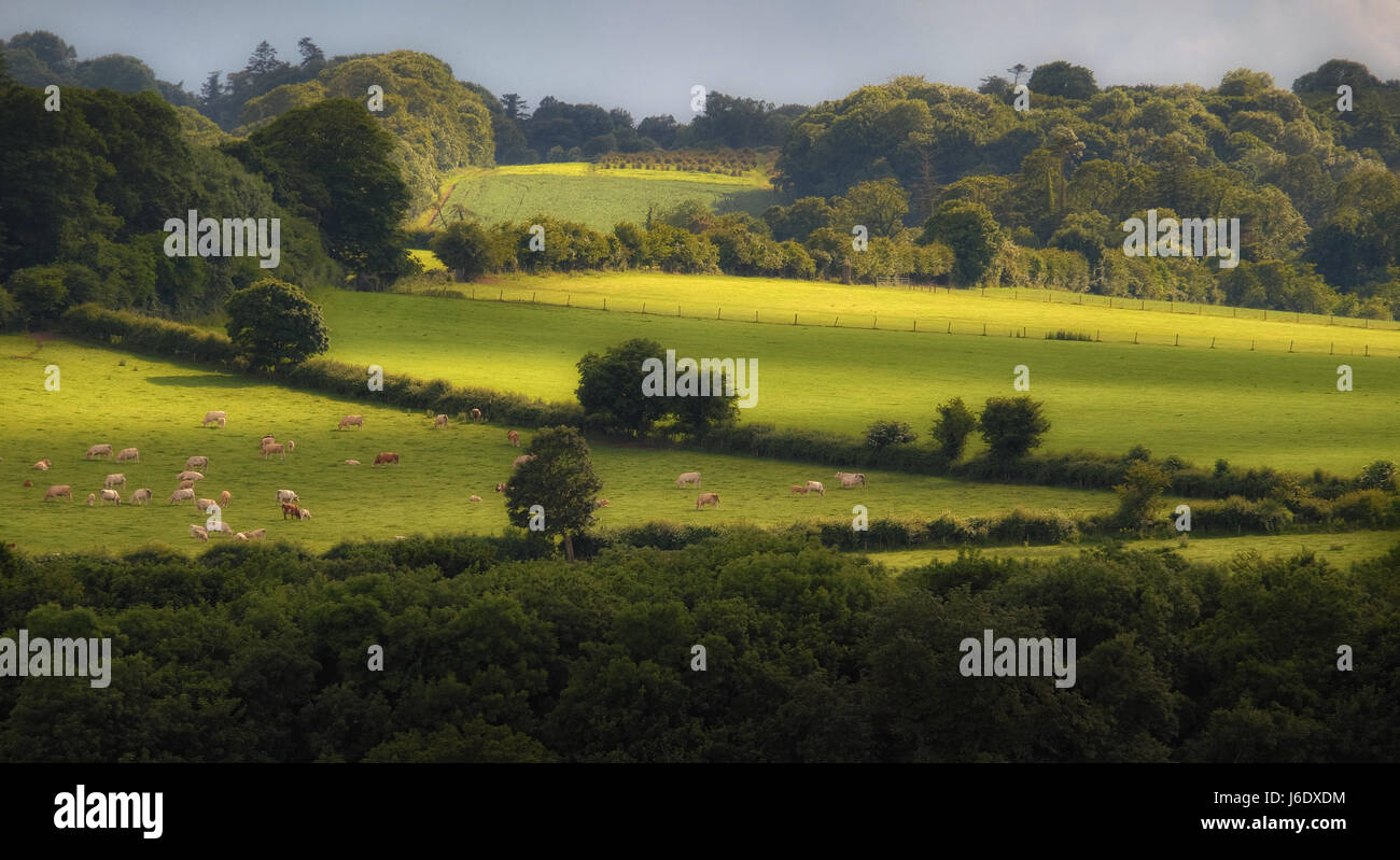 Boyne Valley Pisten, Slane, Co. Fleisch, Irland Stockfoto