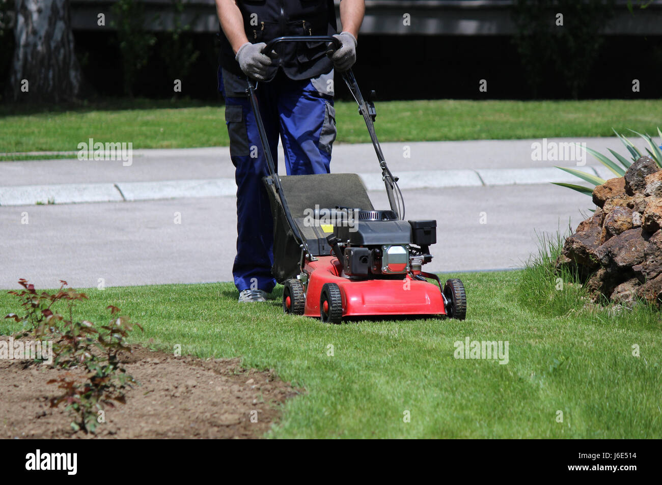 Gärtner, die den Rasen mähen Stockfoto