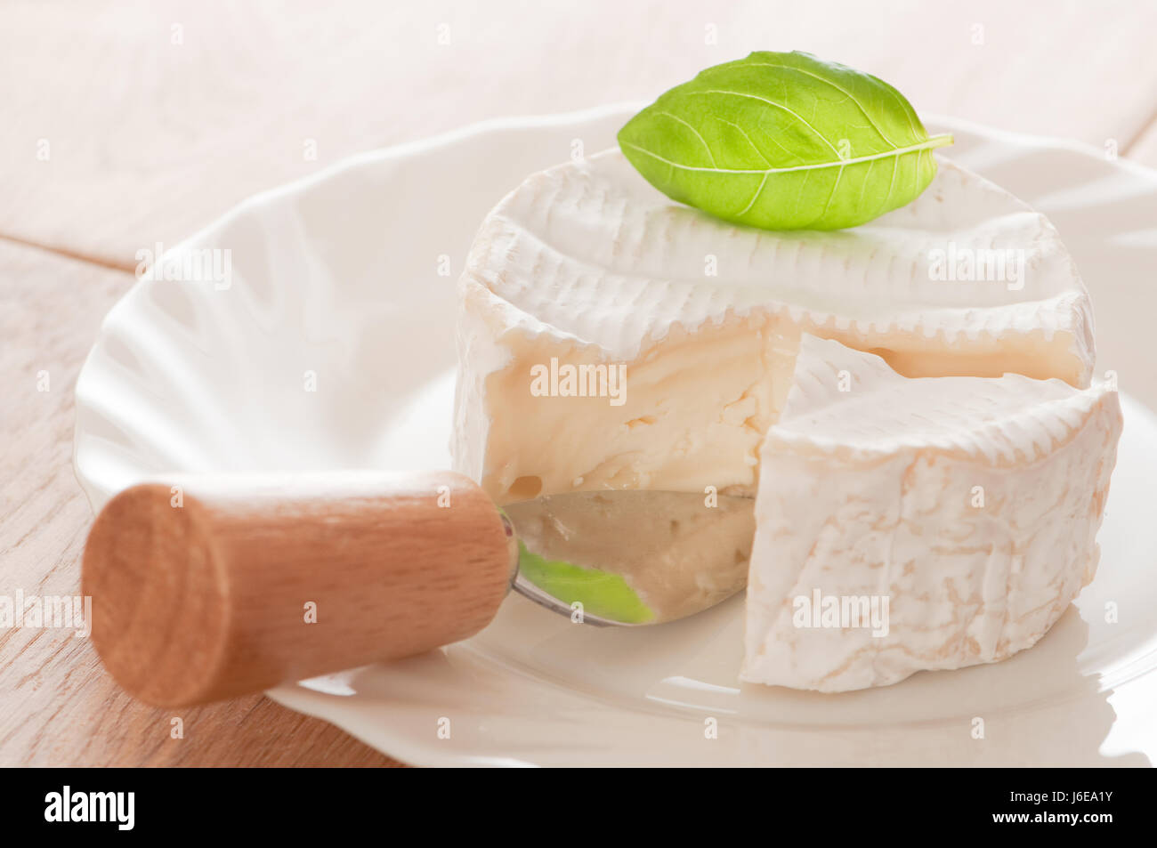 französisches Essen Nahrungsmittel Blatt einzigen Kiefer Reflexion Keil Käseplatte dekoriert Stockfoto