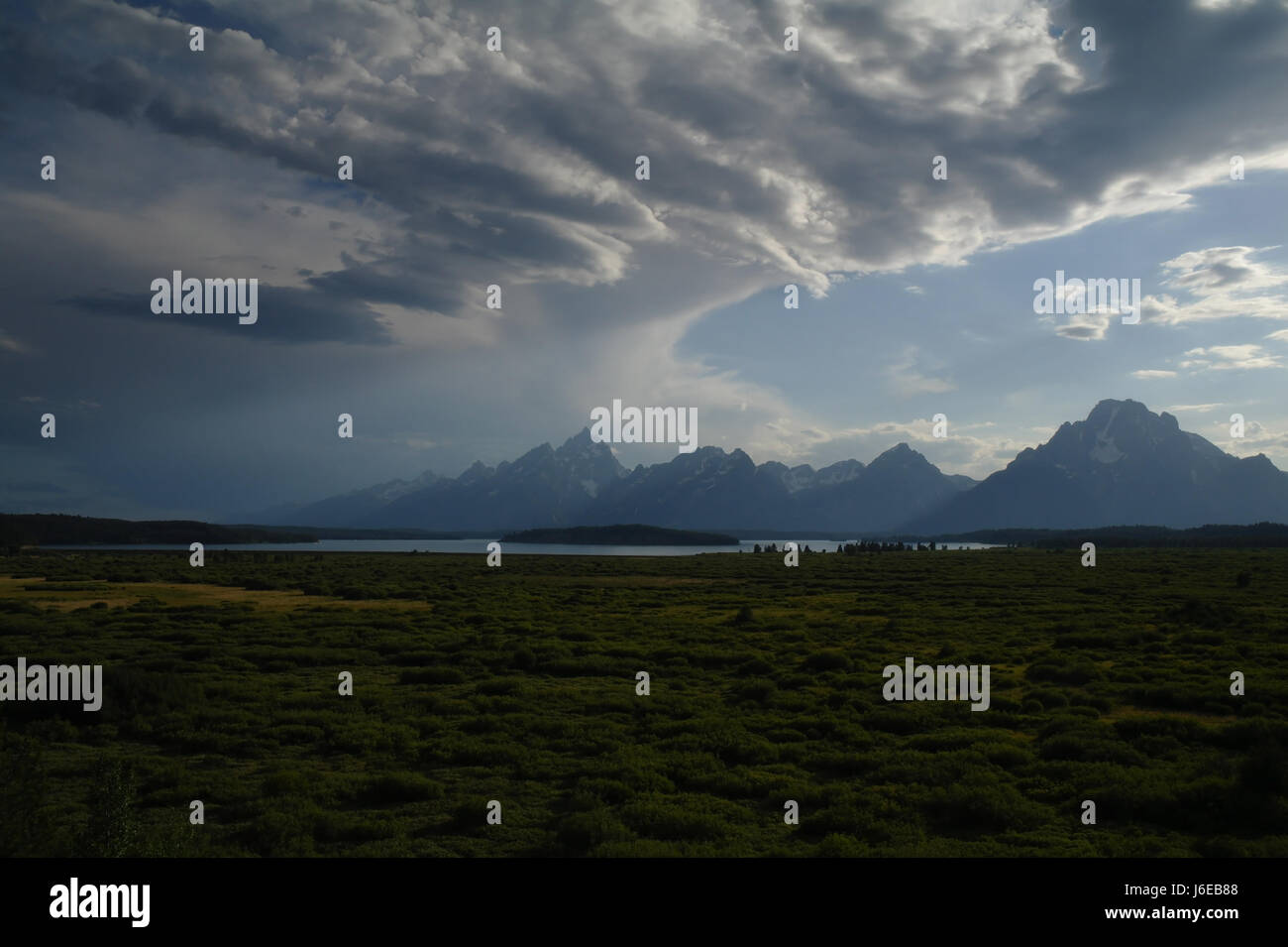 Abends Blick blauer Himmel Stratocumulus Wolken über Beifuß Jackson Hole Valley und Teton Mountains, Blick nach Süden, von Jackson Lake Lodge, Wyoming, USA Stockfoto