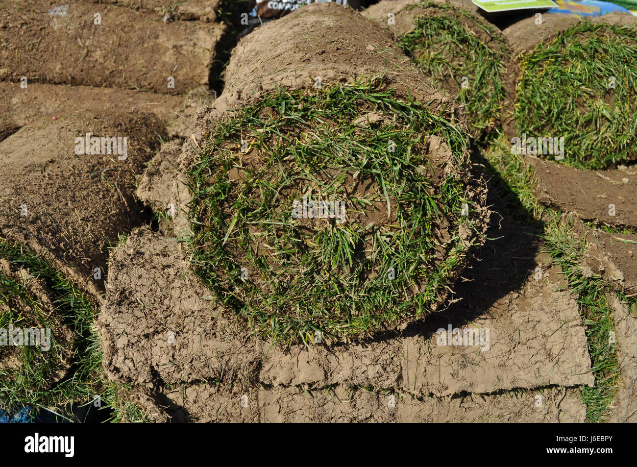 Walzen des Rasens zu verkaufen in einem Gartencenter Stockfoto