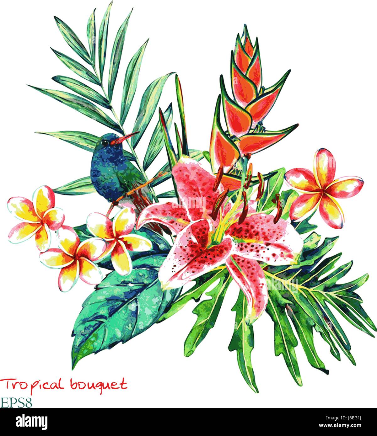 Tropische Bouquet Aquarell Exotischen Pflanzen Blumen Von Heliconia Und Plumeria Rosa Lilie Palm Zweig Und Kolibri Isoliert Auf Weissem Hintergrund T Stock Vektorgrafik Alamy