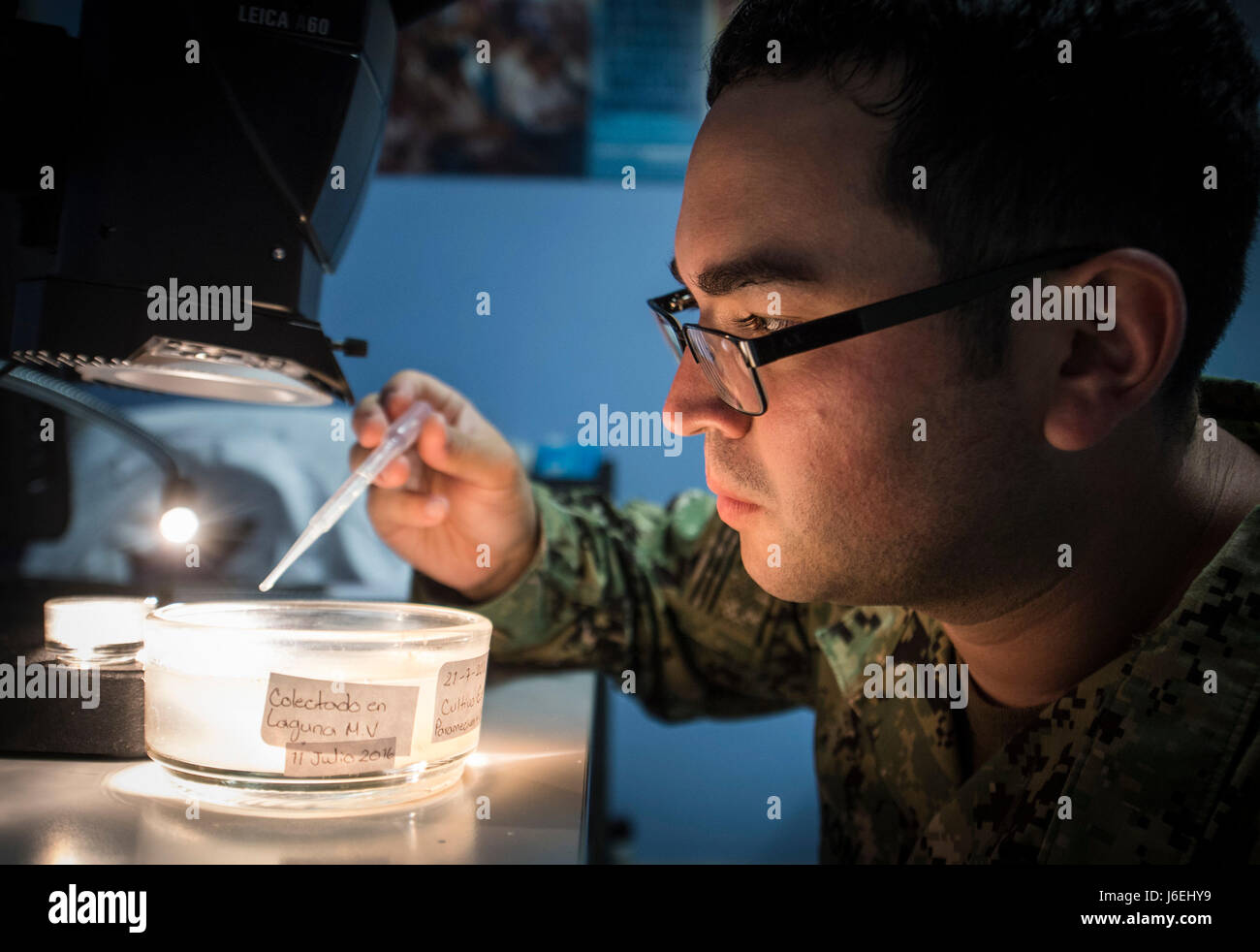 160815-N-CJ186-0647-SAN PEDRO SULA, Honduras (15. August 2016) – US-Navy Lt. Alister Bryson, ein Entomologe Marine Environmental präventive Medizin Unit 2, Experimente mit eine neue Kachel-basierte Insektizid Operation Blessing im Hauptquartier in Honduras während südlichen Partnerschaft Station 2016 (SPS-16) zugeordnet. SPS-16 Ärzteteam eine Partnerschaft mit Operation Blessing, wie sie versuchen, biologische Methoden verwenden, um das Zika-Virus zu bekämpfen. SPS-16 ist eine jährlich stattfindende Serie von US Navy Bereitstellungen konzentrierte sich auf den Gegenstand Experten Austausch mit Partner Nation Streit- und Sicherheitskräfte in Mittel- und Stockfoto