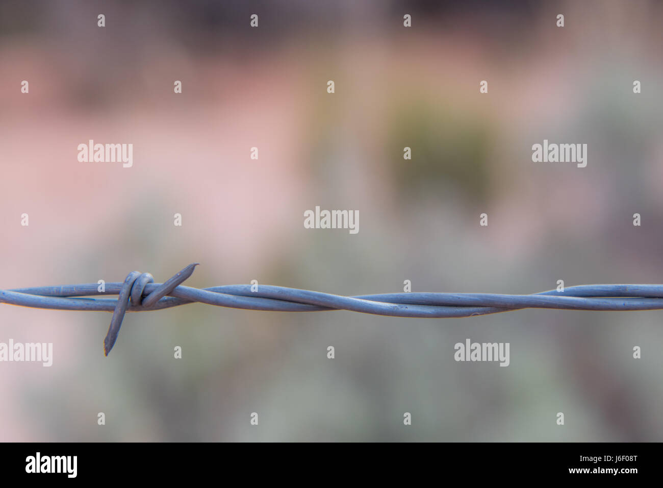 Barbed Wire Close Up mit textfreiraum horizontales Bild Stockfoto