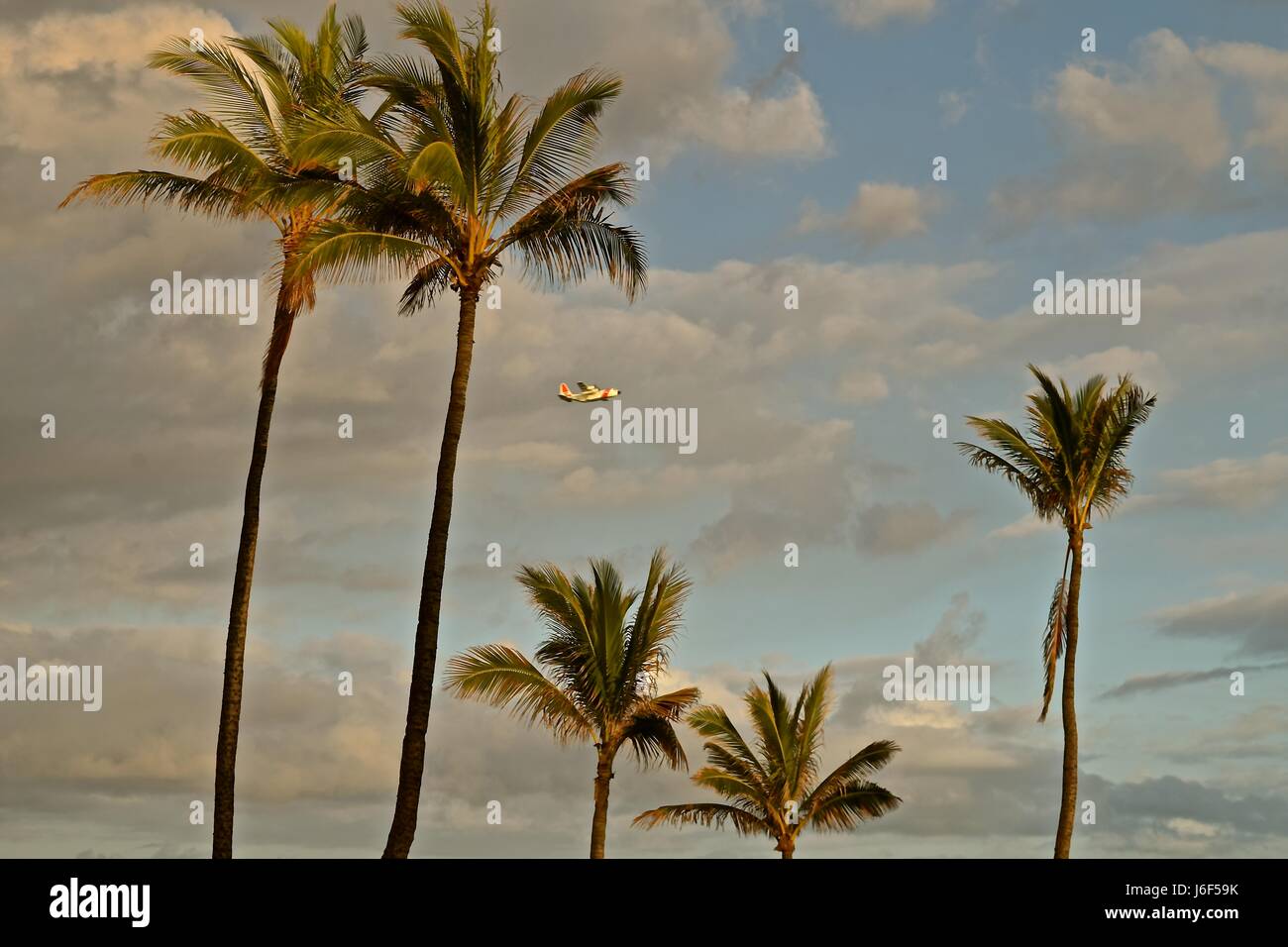 Schönheit der Insel, Urlaubsparadies mit Palmen und strahlend farbigen Himmel. Stockfoto Schönheit der Insel, Urlaubsparadies mit Palmen und strahlend farbigen Himmel. Stockfoto