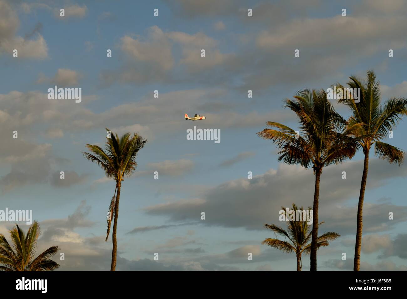 Schönheit der Insel, Urlaubsparadies mit Palmen und strahlend farbigen Himmel. Stockfoto