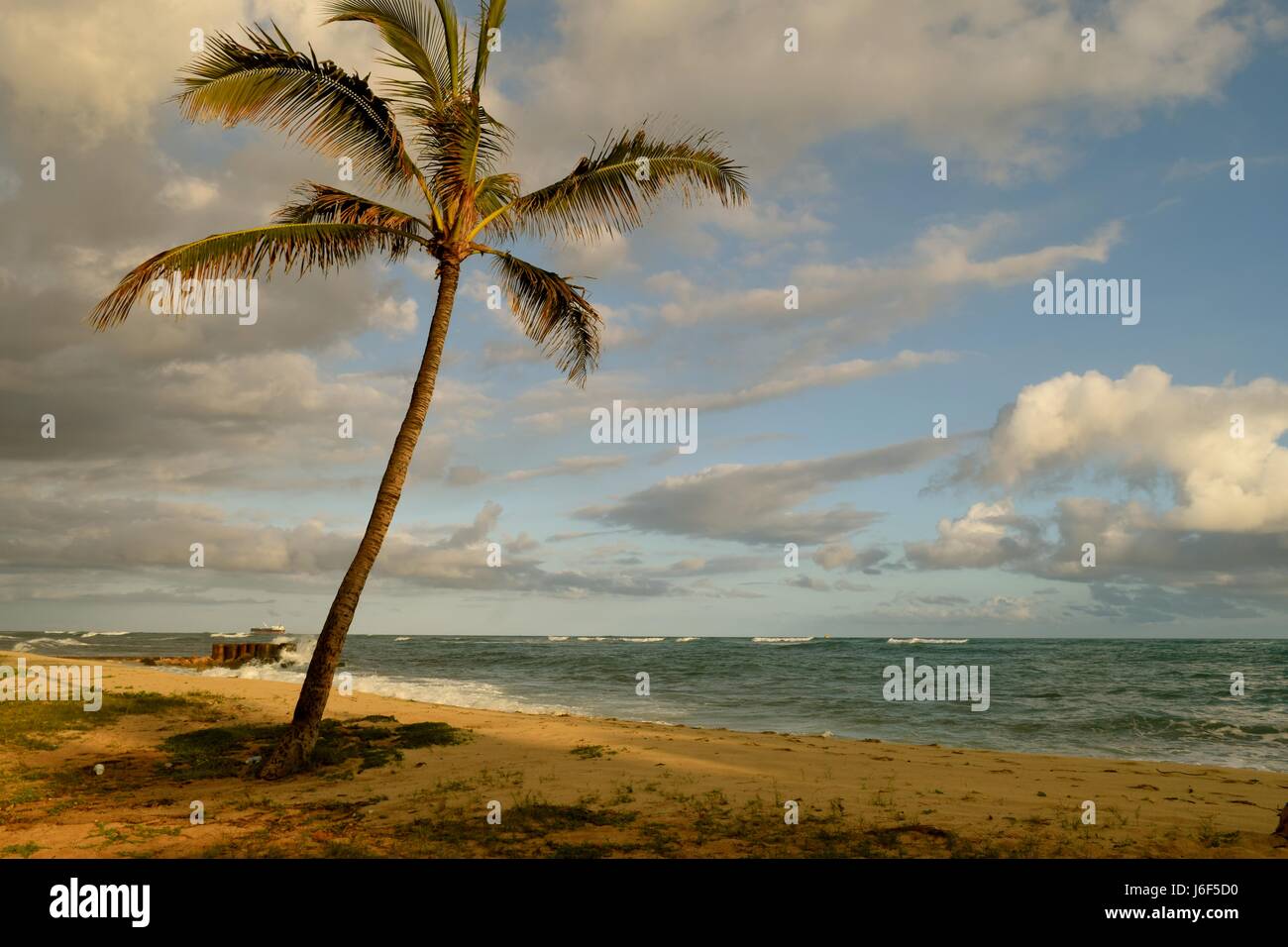 Schönheit der Insel, Urlaubsparadies mit Palmen und strahlend farbigen Himmel. Stockfoto Schönheit der Insel, Urlaubsparadies mit Palmen und strahlend farbigen Himmel. Stockfoto