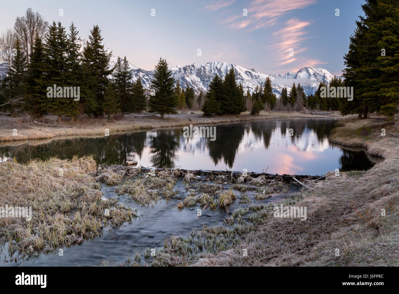 Ein Biber-Damm verlangsamt sich einen Kanal des Snake River unterhalb der Teton Berge Schwabacher Landing. Grand Teton Nationalpark, Wyoming Stockfoto