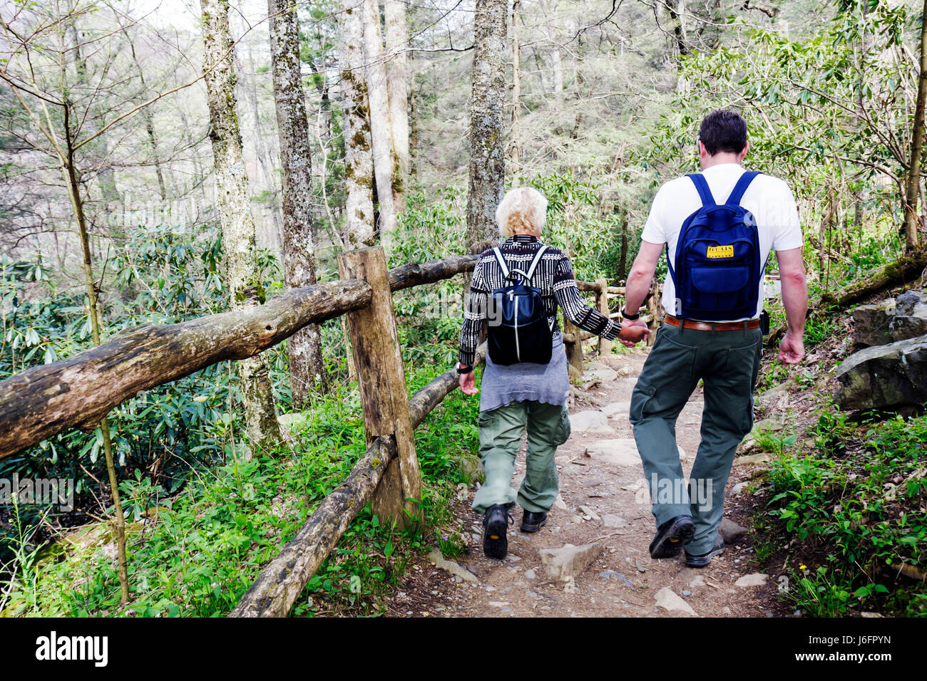 Tennessee Great Smoky Mountains National Park, Mann, Männer, Frau, Frauen, Paar, Wanderer, Natur, Natur, Landschaft, Landschaft, Wald, Wandern, Wanderweg, TN0 Stockfoto