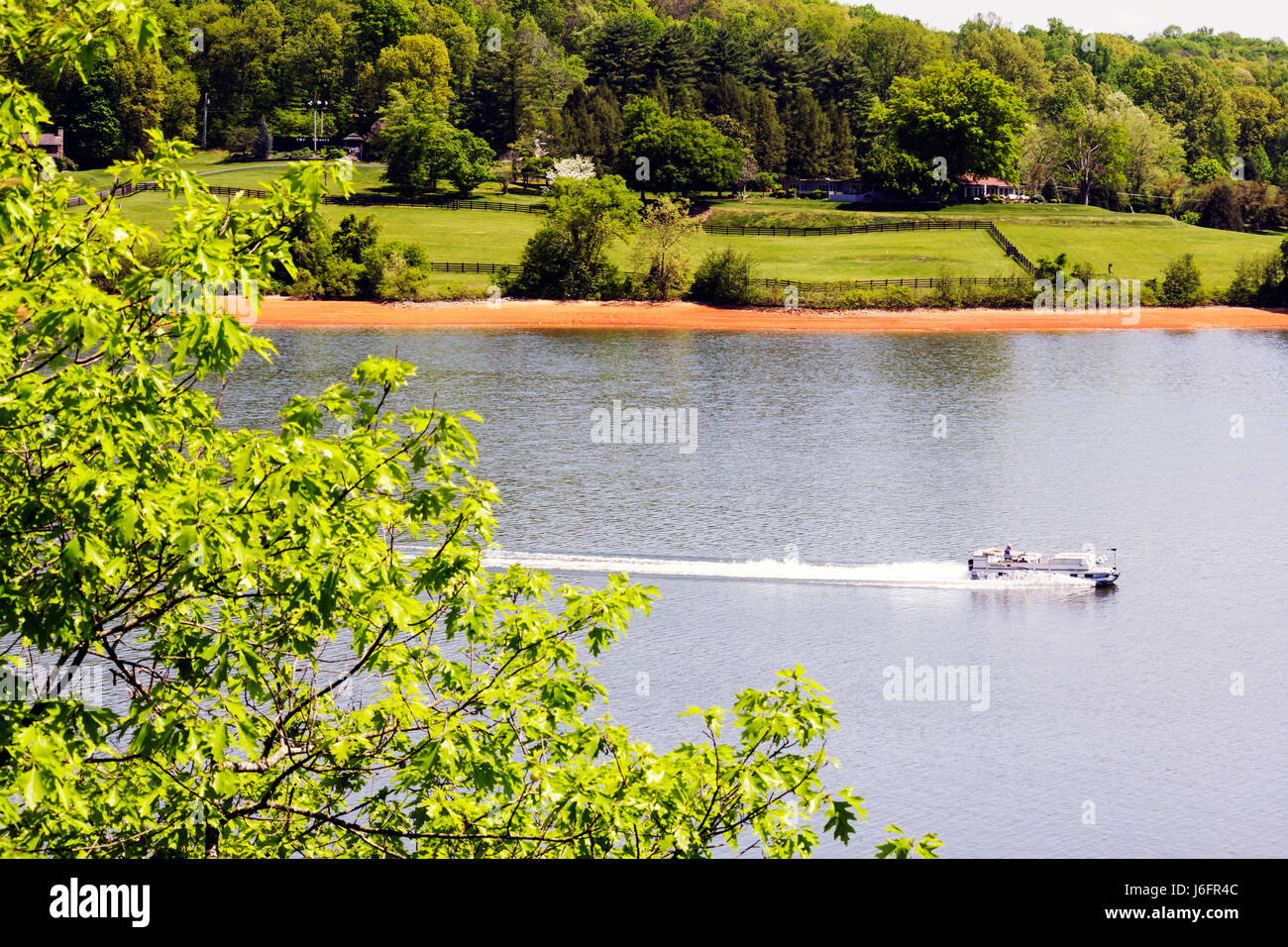 Tennessee Blountville, Boone Lake, Tennessee Valley Authority, TVA, Ponton-Boot, Wassersport, Erholung, Vegetation, Bäume, Ufer, TN080505004 Stockfoto