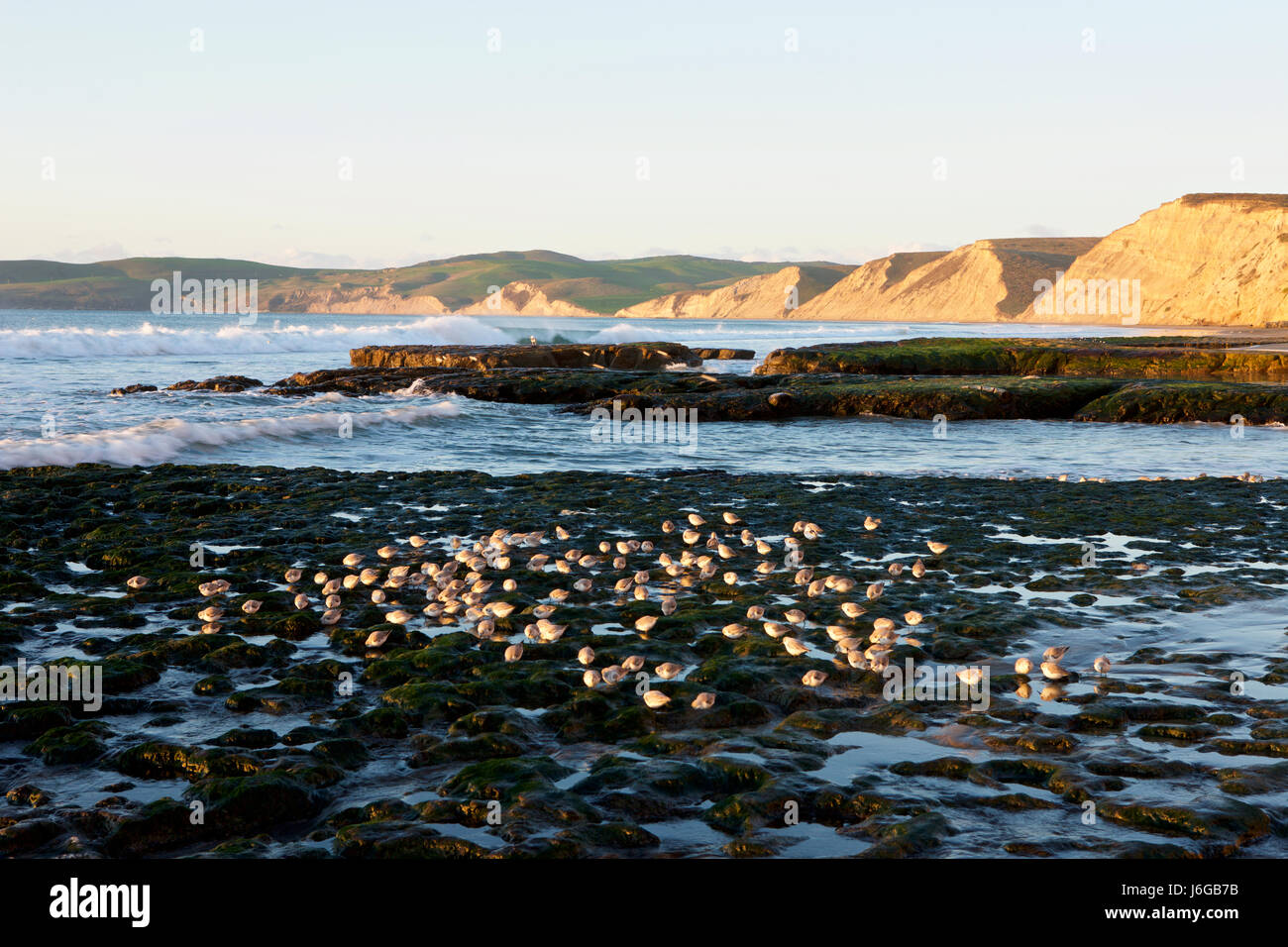 Drakes Beach, Point Reyes, Kalifornien Stockfoto
