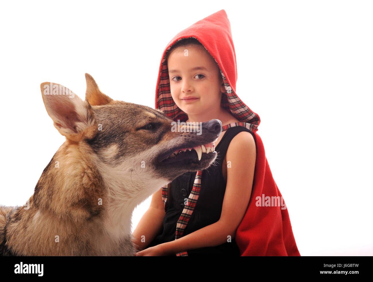 Korb kleine winzige kleine kurze Reiten Wolf Haube Kind rote Tierzähnen Fantasie Stockfoto