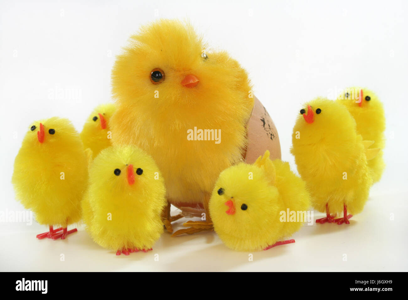 Osterei Küken Eiern Tiere Vogel Vögel Ostern Frühling tierisch Ei ...