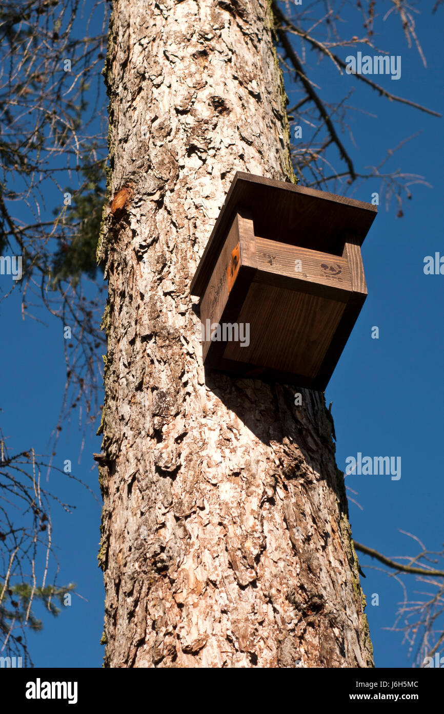 künstlichen Vogel-Haus auf einem Baum Stockfoto