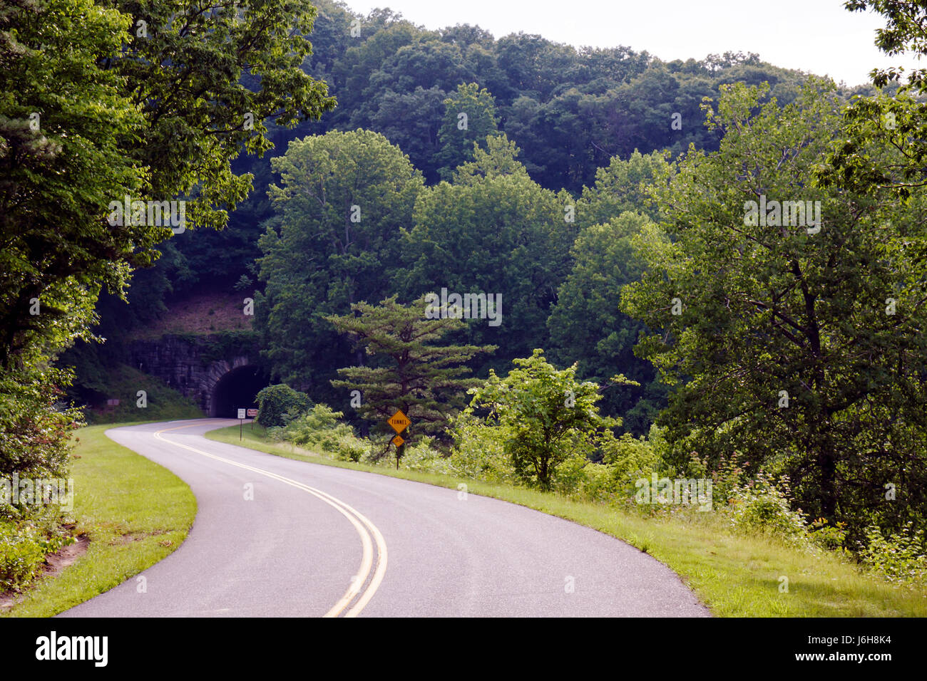 Blue Ridge Parkway Virginia, Appalachian Mountains, Natur, Natur, Landschaft, Bäume, Kurve, gelbe Linien, Bluff Mountain Tunnel, VA090618022 Stockfoto