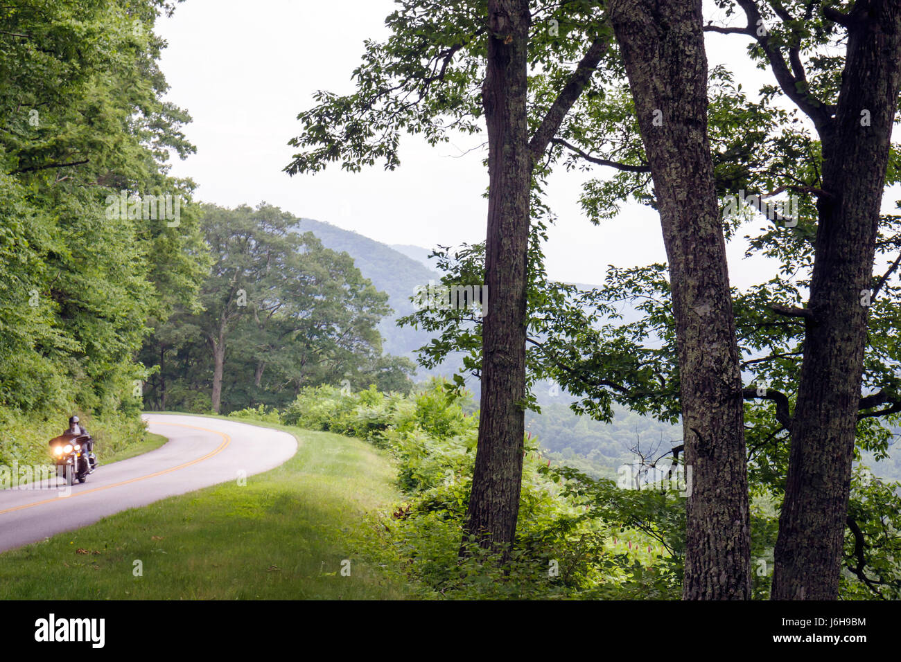 Blue Ridge Parkway Virginia, Appalachian Mountains, Kurve, Natur, Natur, Landschaft, Straße, gelbe Linien, Motorrad-Motorräder, Fahrrad, Scheinwerfer, in der Nähe von Milepost 8 Stockfoto