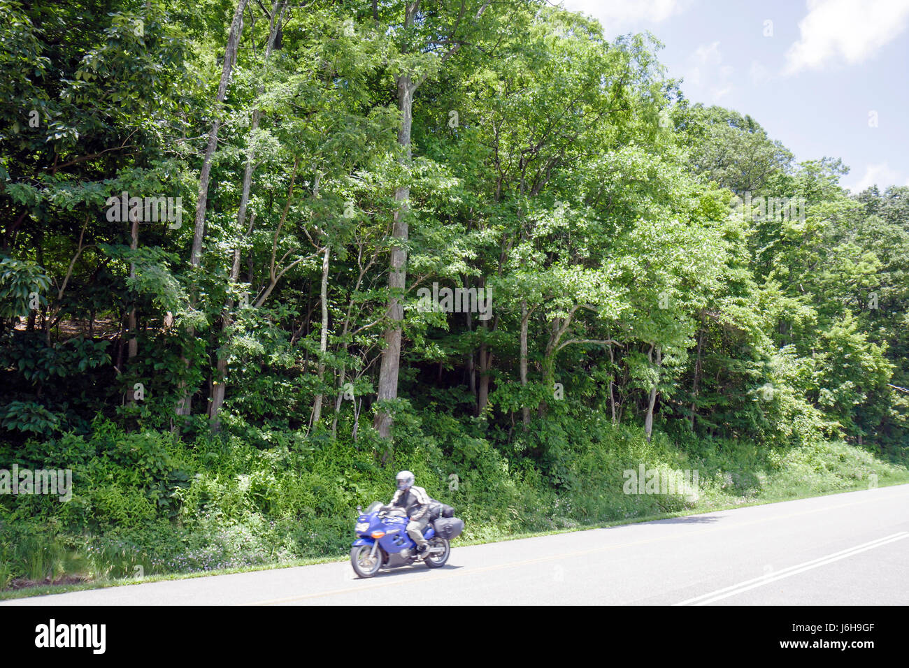 Blue Ridge Parkway Virginia, Appalachian Mountains, Natur, Natur, Landschaft, Straße, Motorrad-Motorräder, Fahrrad, in der Nähe von Milepost 86, Besucher reisen t Stockfoto