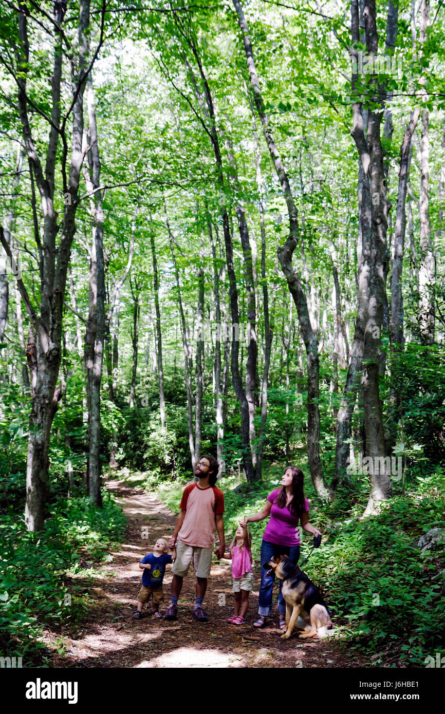 Blue Ridge Parkway Virginia, Appalachian Mountains, Rocky Knob Hütten, Wandern, Trail, Wald, Erwachsene Erwachsene Männer Männer männlich, Frau Frauen weibliche Dame, Jungen Jungen, Kind Stockfoto