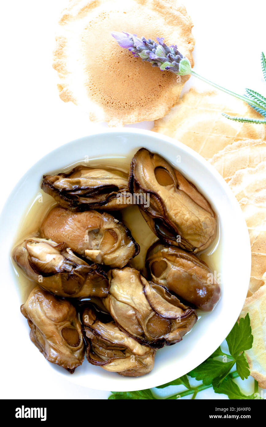 Dose Austern Stockfotos Und Bilder Kaufen Alamy