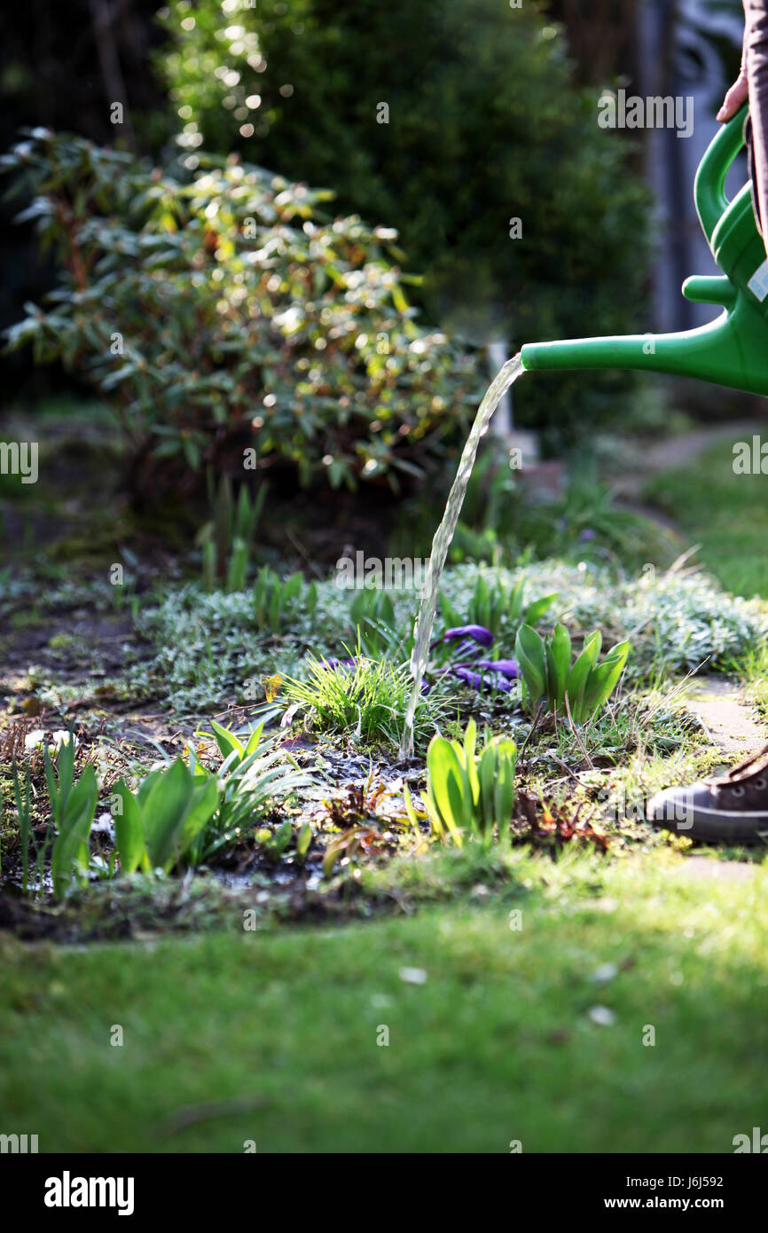 Garten grün Sommer sommerlich Lage Schuss Gärten Wiese Rasen Rasen Hintergrund Stockfoto