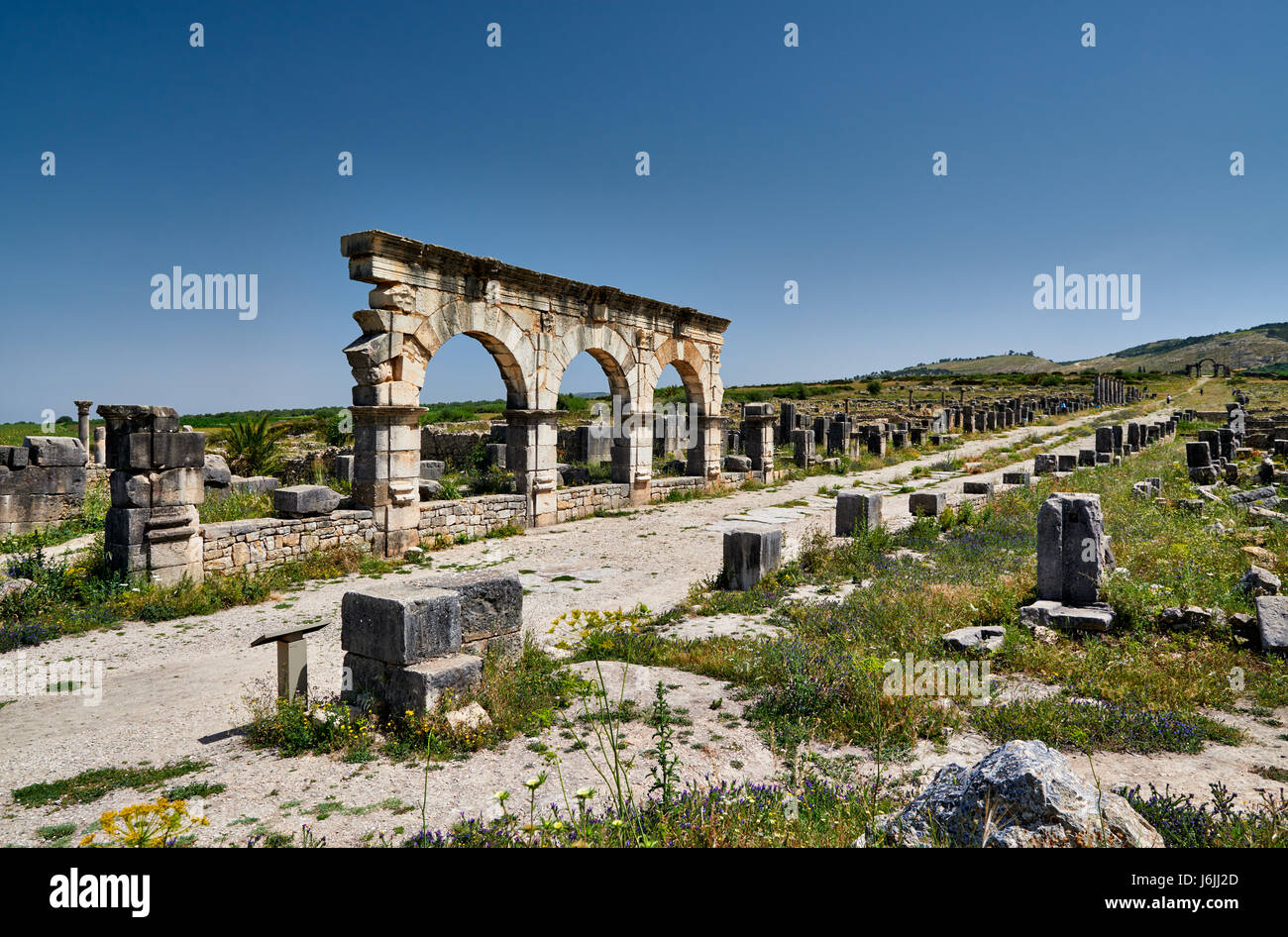 Decumanus Maximus, Hauptstraße durch die römischen Ausgrabungen von Volubilis, Marokko, Afrika Stockfoto