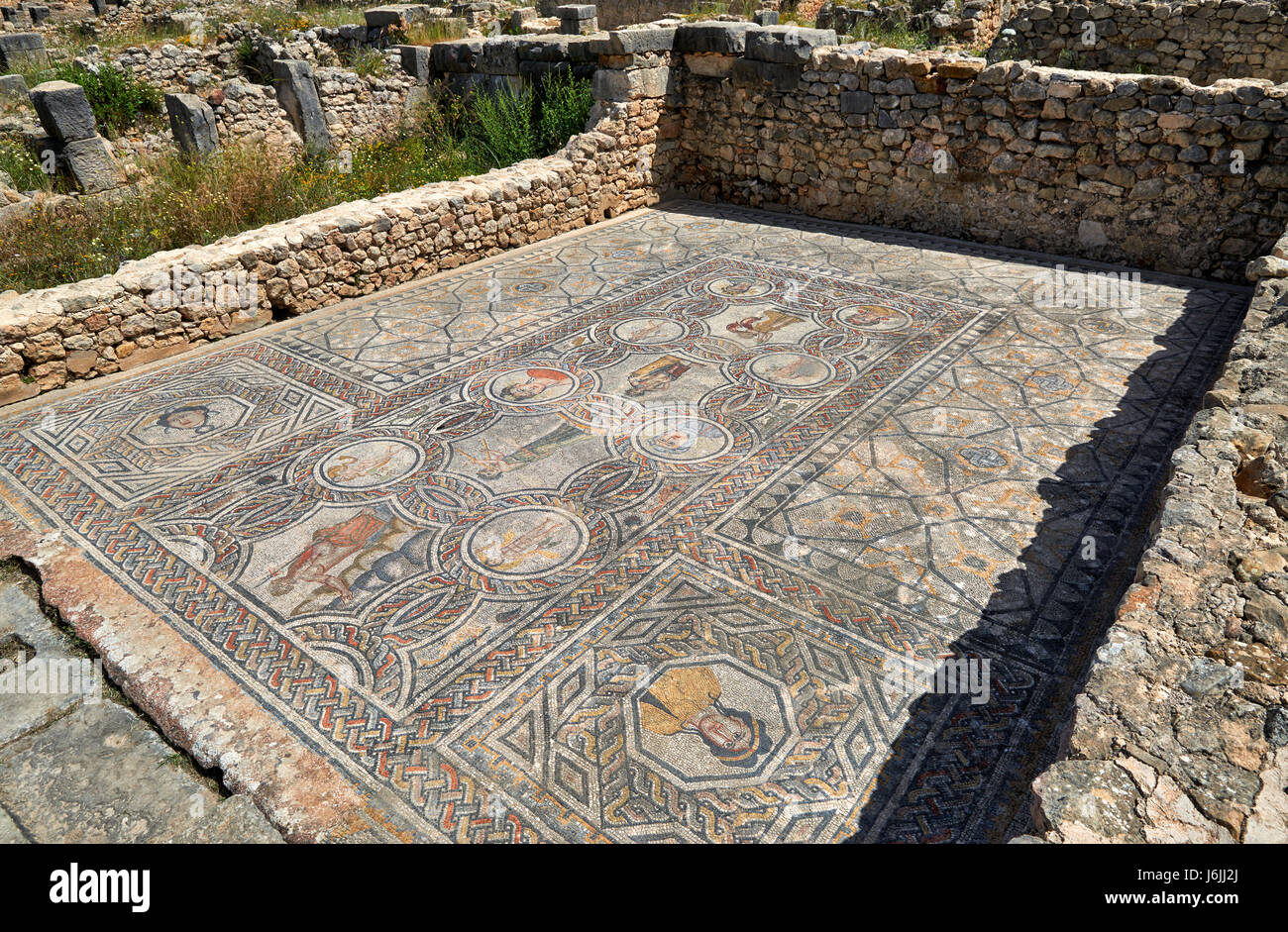 Mosaik in Gordion Palast, Haus des Dionysos, in der römische Ausgrabung von Volubilis, Marokko, Afrika Stockfoto