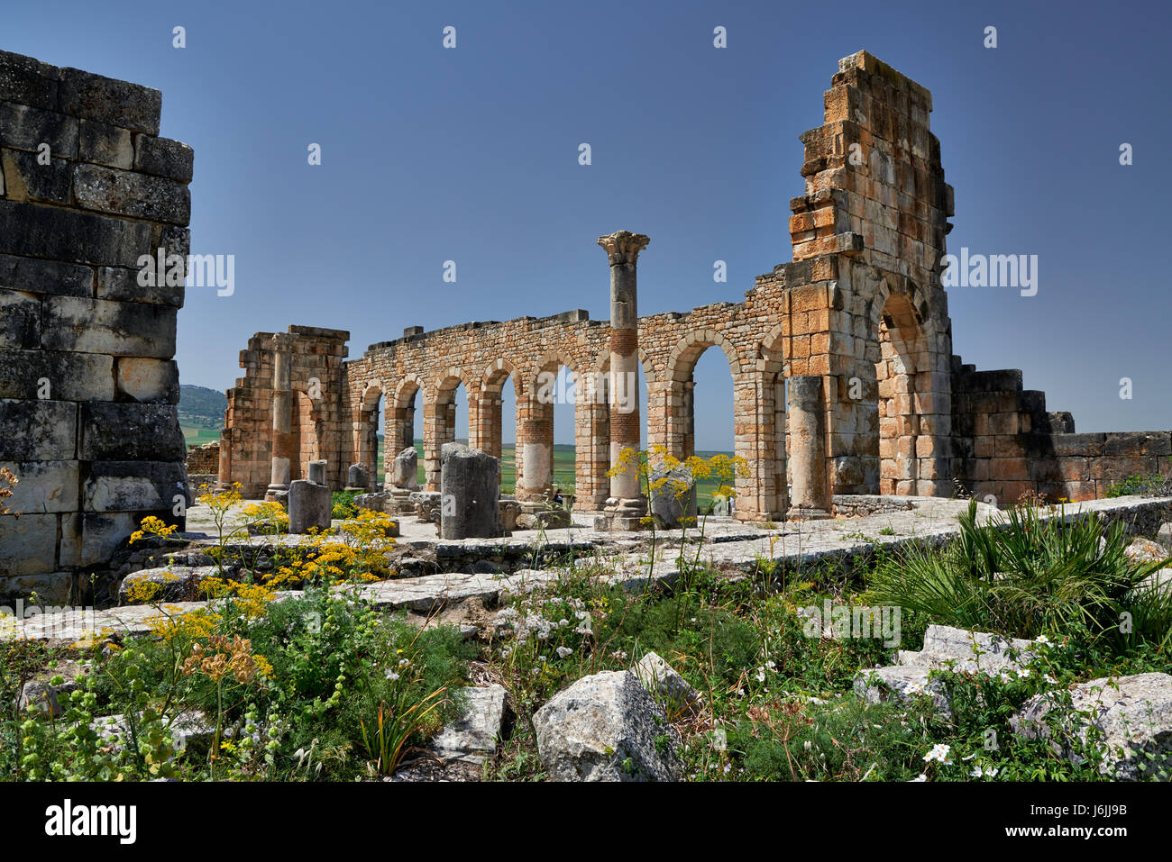 Basilika von Volubilis, römische Ausgrabungen in Marokko, Afrika Stockfoto