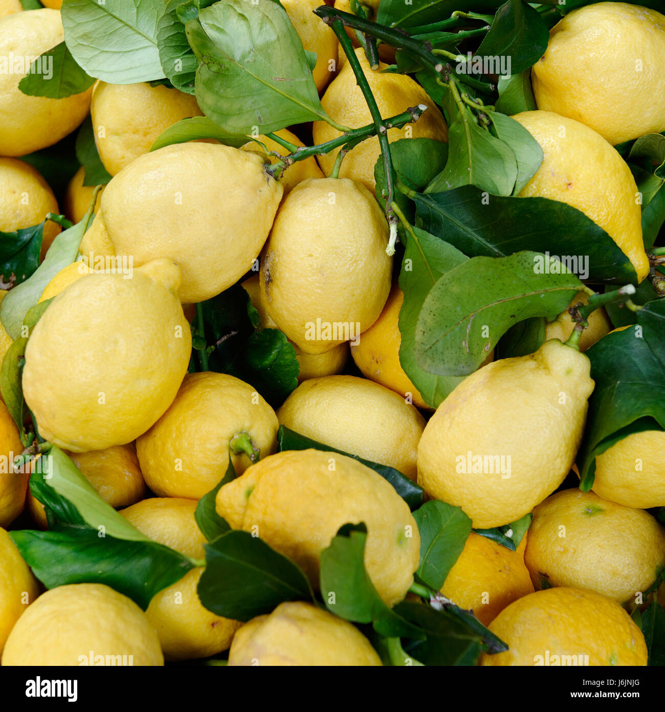 Lebensmittel Nahrungsmittel Gesundheit Europa Gastronomie biologisches Obst Stillleben Stockfoto