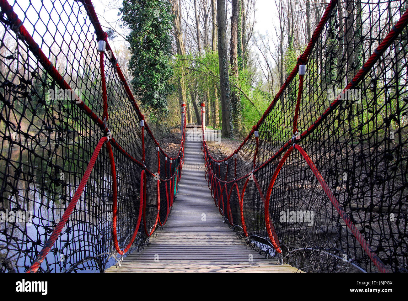 Holzbrücke Hängebrücke Schwingungen Seile Wald Natur Holzbrücke Wandern Stockfoto