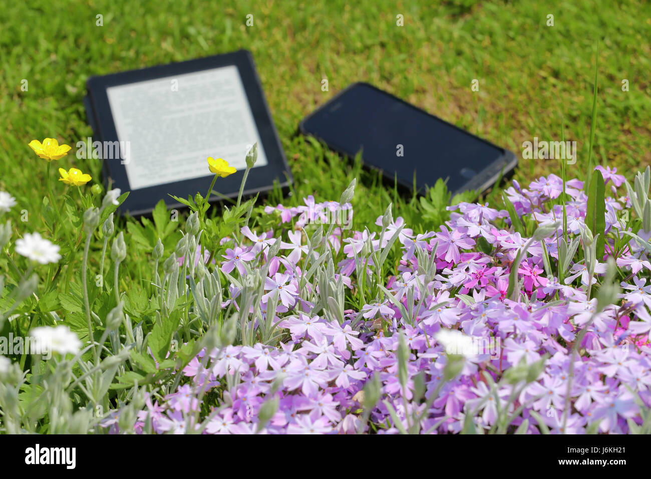 Ein e-Book-Leser und Handy auf dem Rasen Stockfoto