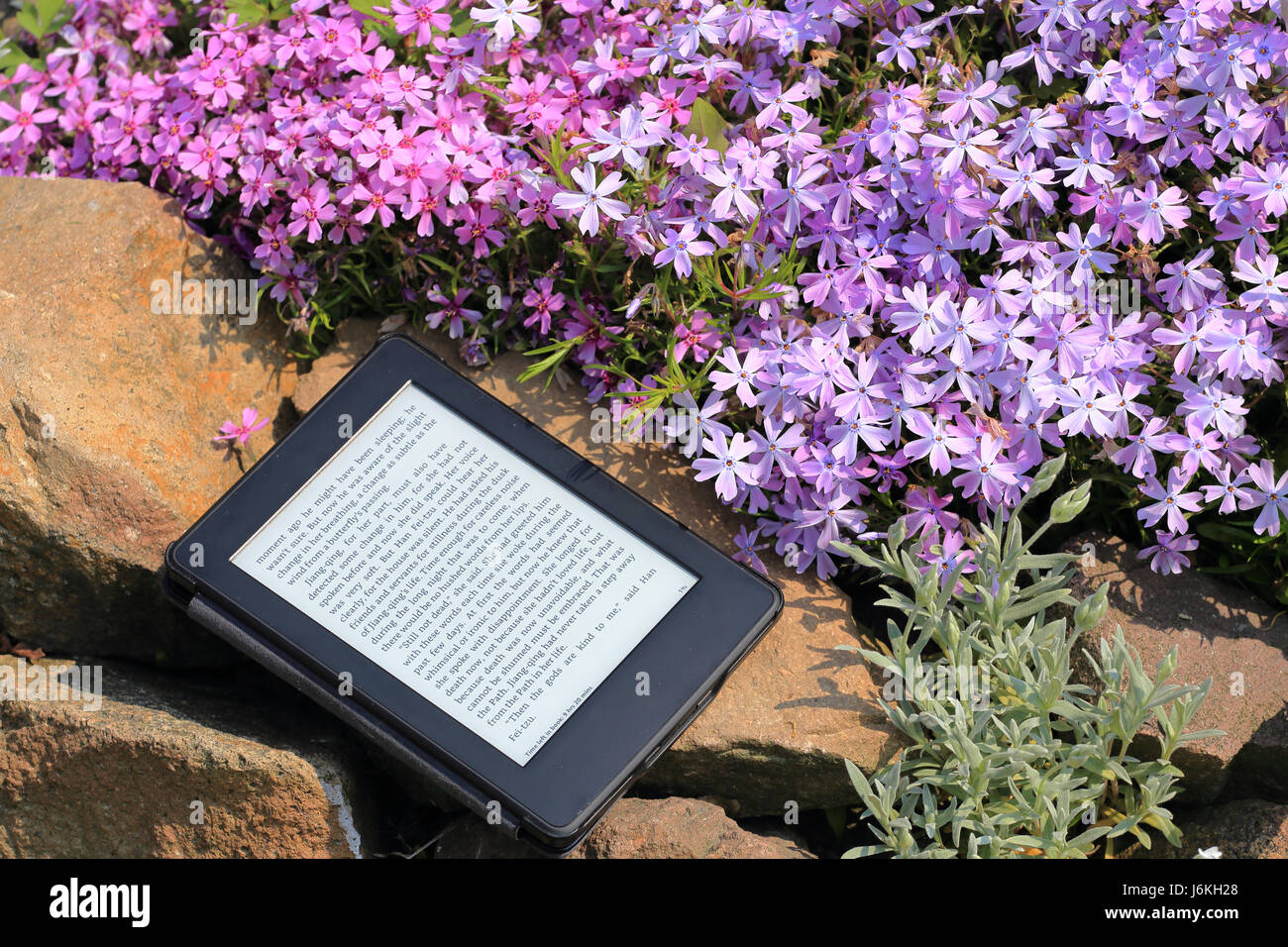 Ein e-Book-Reader auf dem Stein Stockfoto