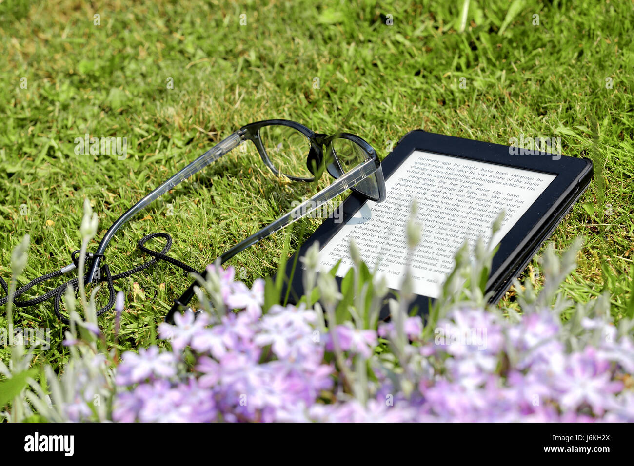 Ein e-Book-Reader und Gläser auf dem Rasen Stockfoto