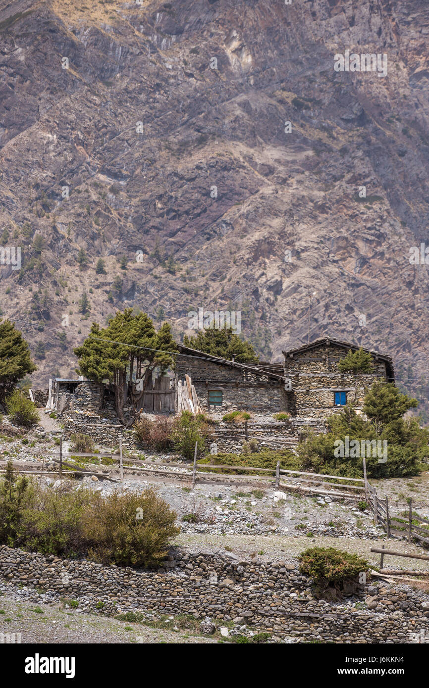 Traditionellen Steinhäusern in Muktinath Ortschaft in Upper Mustang, Nepal Stockfoto