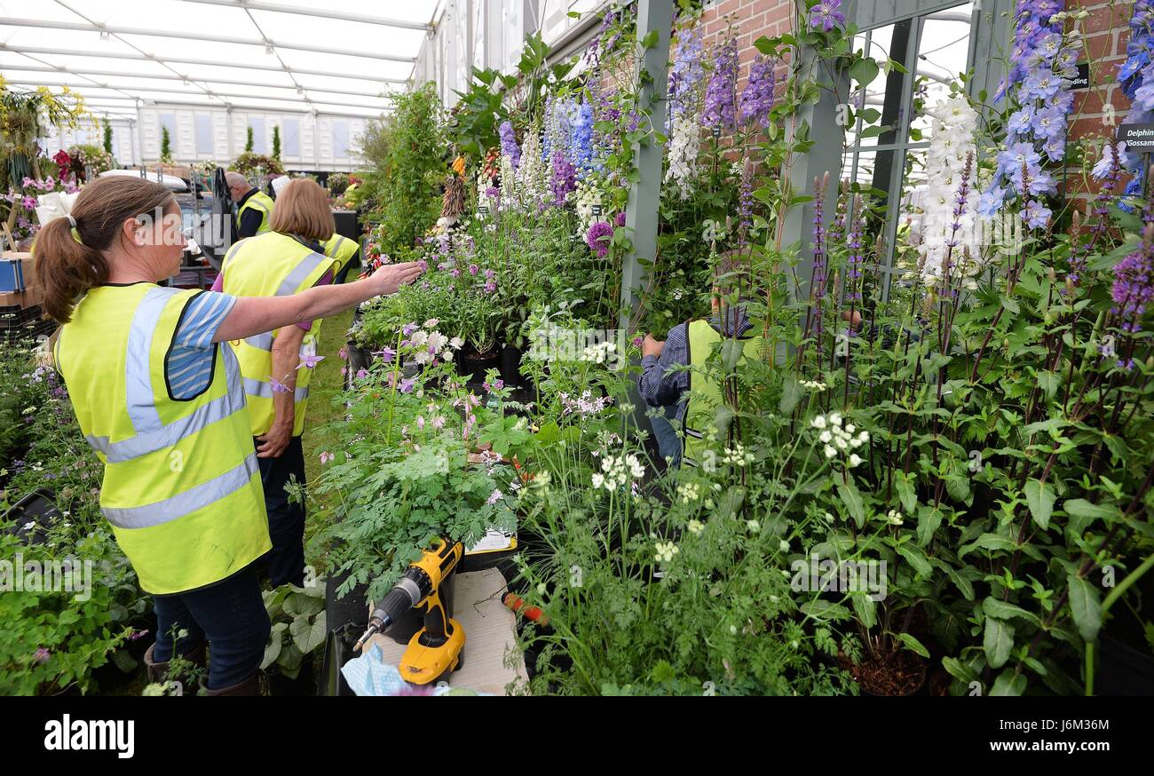 Aussteller arbeitet am letzten Vorbereitungen auf die Welt berühmte RHS Chelsea Flower Show in London, bevor die Veranstaltung für die Öffentlichkeit am Dienstag öffnet. Stockfoto