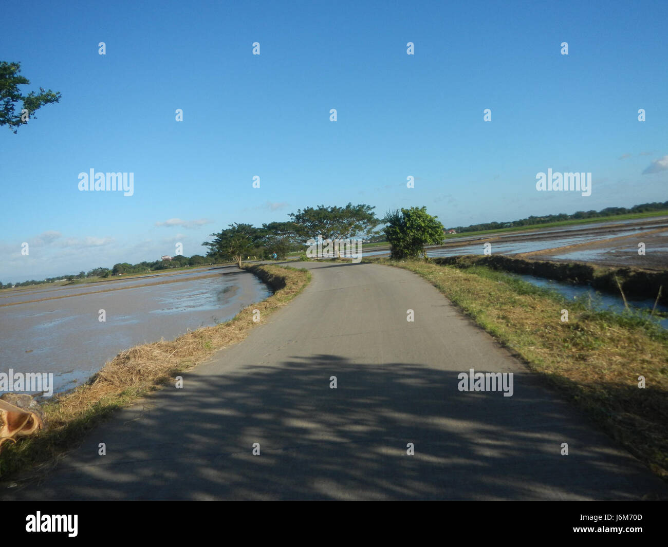 09124 Balucuc Apalit Pampanga Pflügen Reisfelder Bewässerung Fliegenvögel Straßen 03 Stockfoto