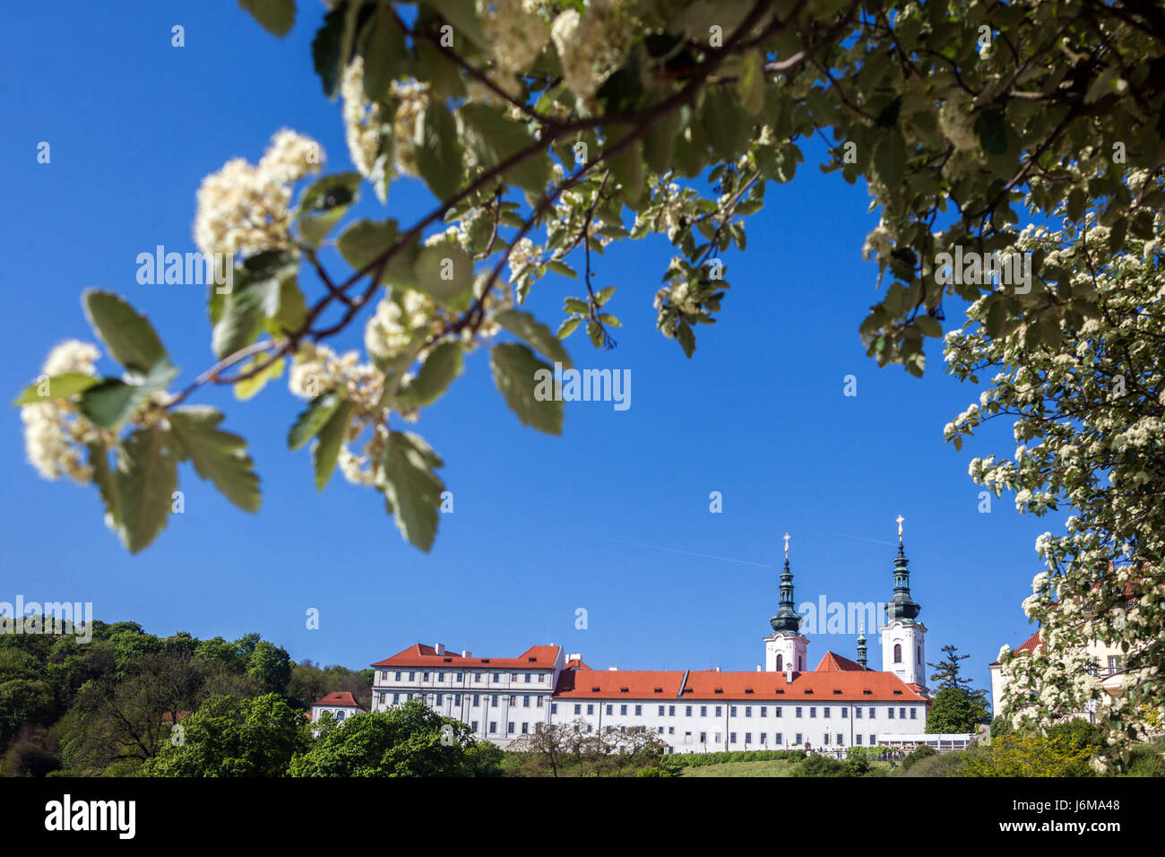 Kloster Strahov, Prager Frühling, Tschechische Republik, Europa Stockfoto