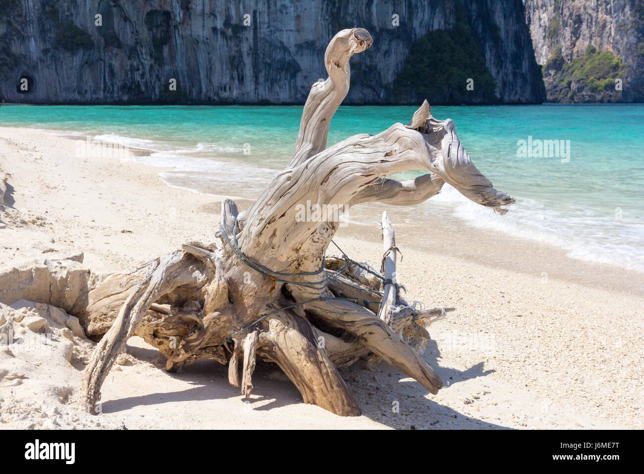 Treibholz am Strand von Koh Lao Liang, Trang, Thailand Stockfoto