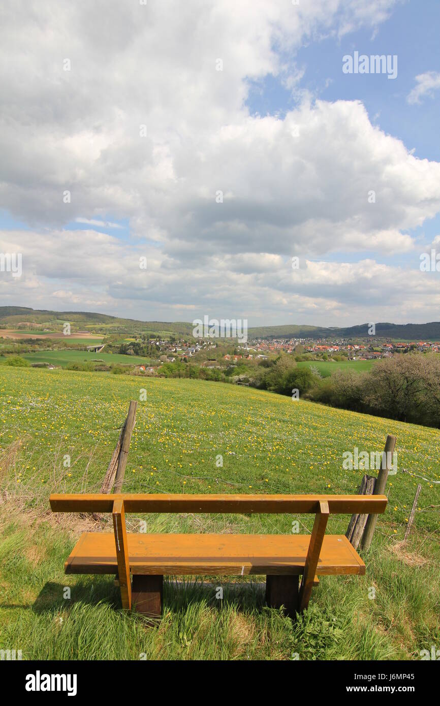 Blick über die Blumenwiese auf Stadt Stockfoto