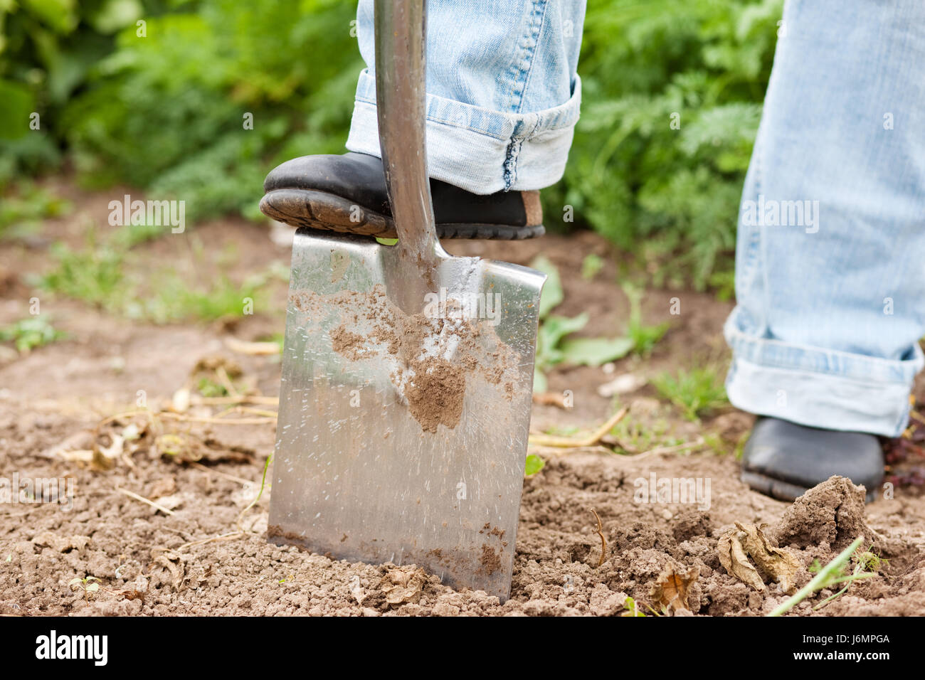 Garten Boden Boden Erde Humus Gärtner Garten Graben Spaten Graben, bis