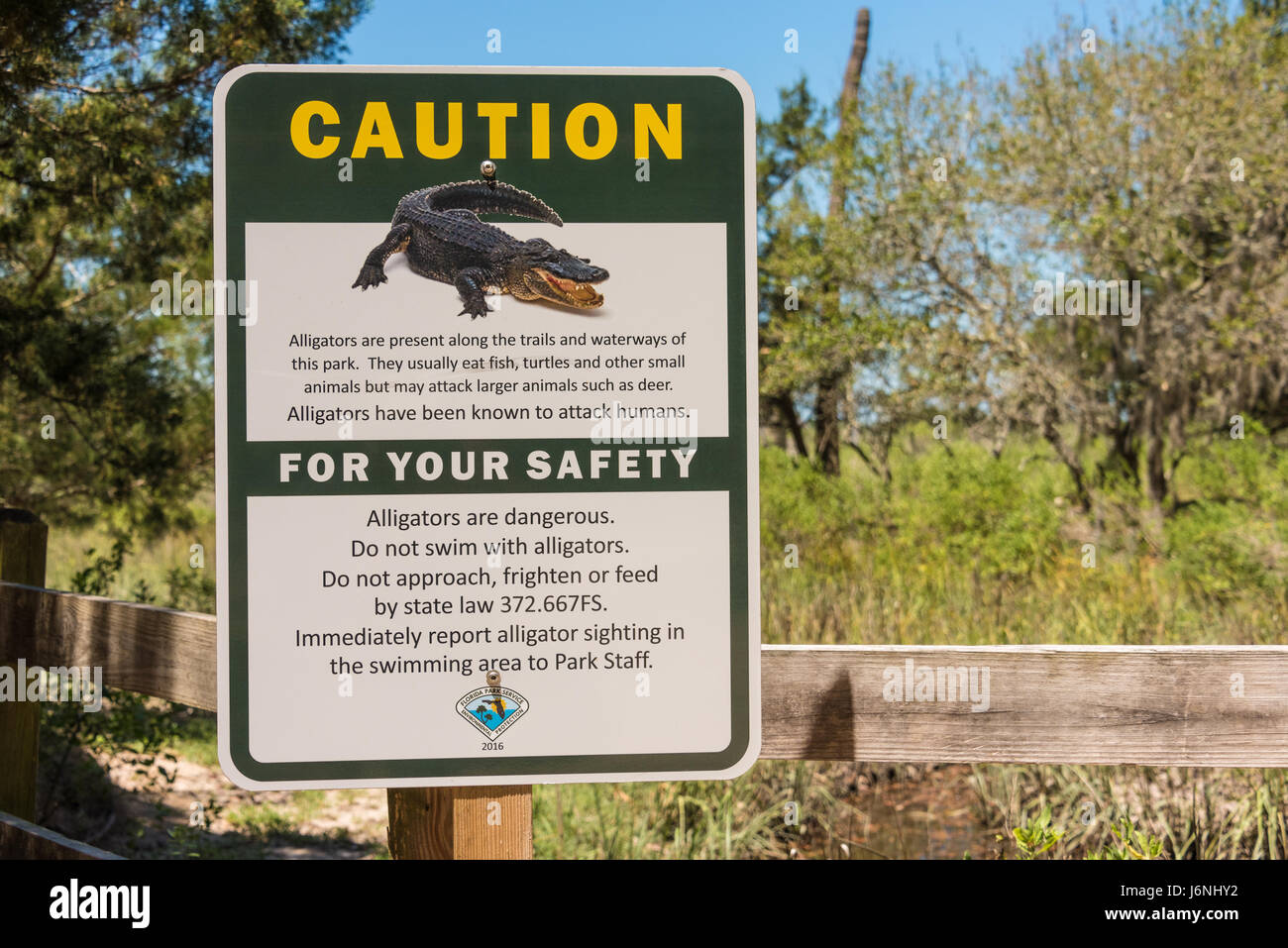 Alligator-Warnschild entlang eines Lehrpfades im Fort Clinch State Park auf Amelia Island in Fernandina Beach, Florida, USA. Stockfoto