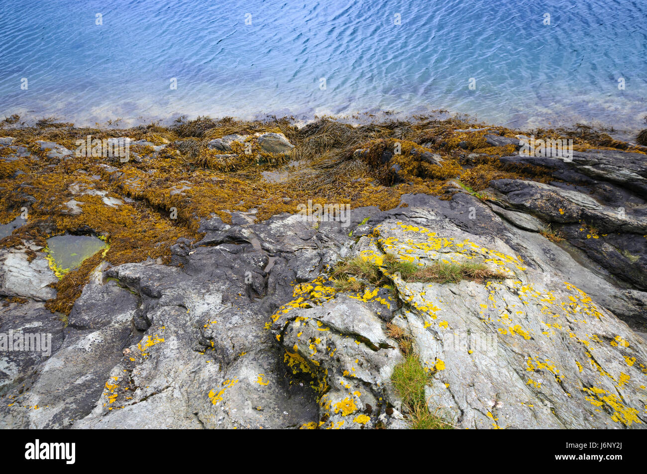 Linie und Rock Küste des Meeres hautnah Stockfoto