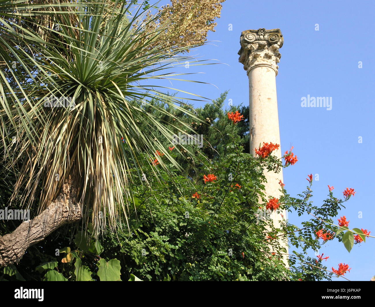 Säule Stockfoto