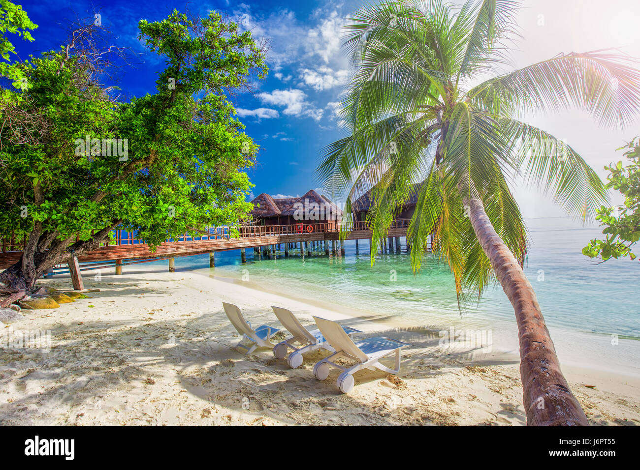 Palme auf der tropischen Insel mit türkisfarbenen klaren Wasser und Overwater Bungalow, Malediven Stockfoto