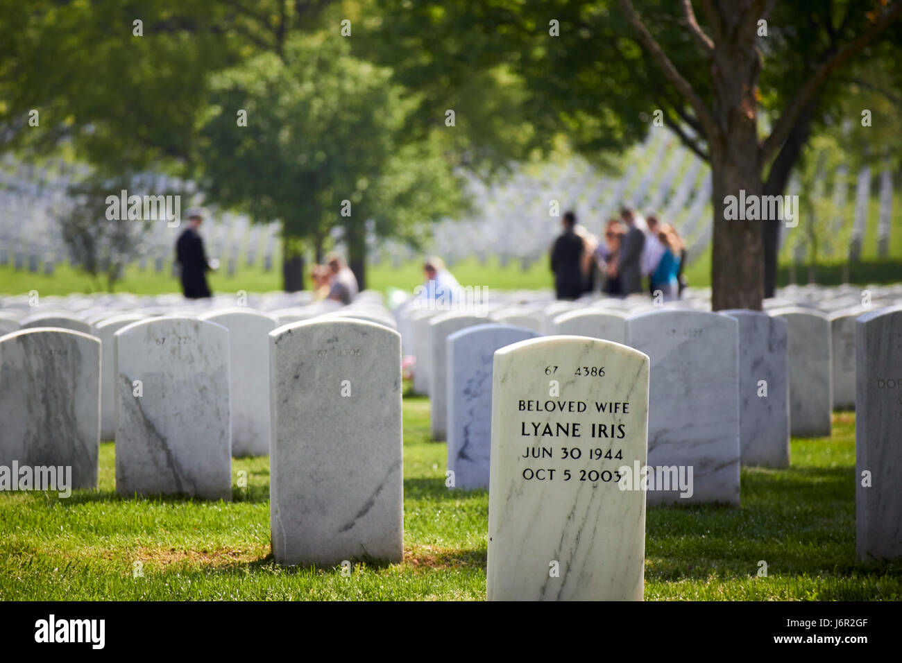 Reihen von weißen Grabsteinen unter Bäumen mit Trauerfeier im Hintergrund auf dem Arlington Cemetery Washington DC USA Stockfoto