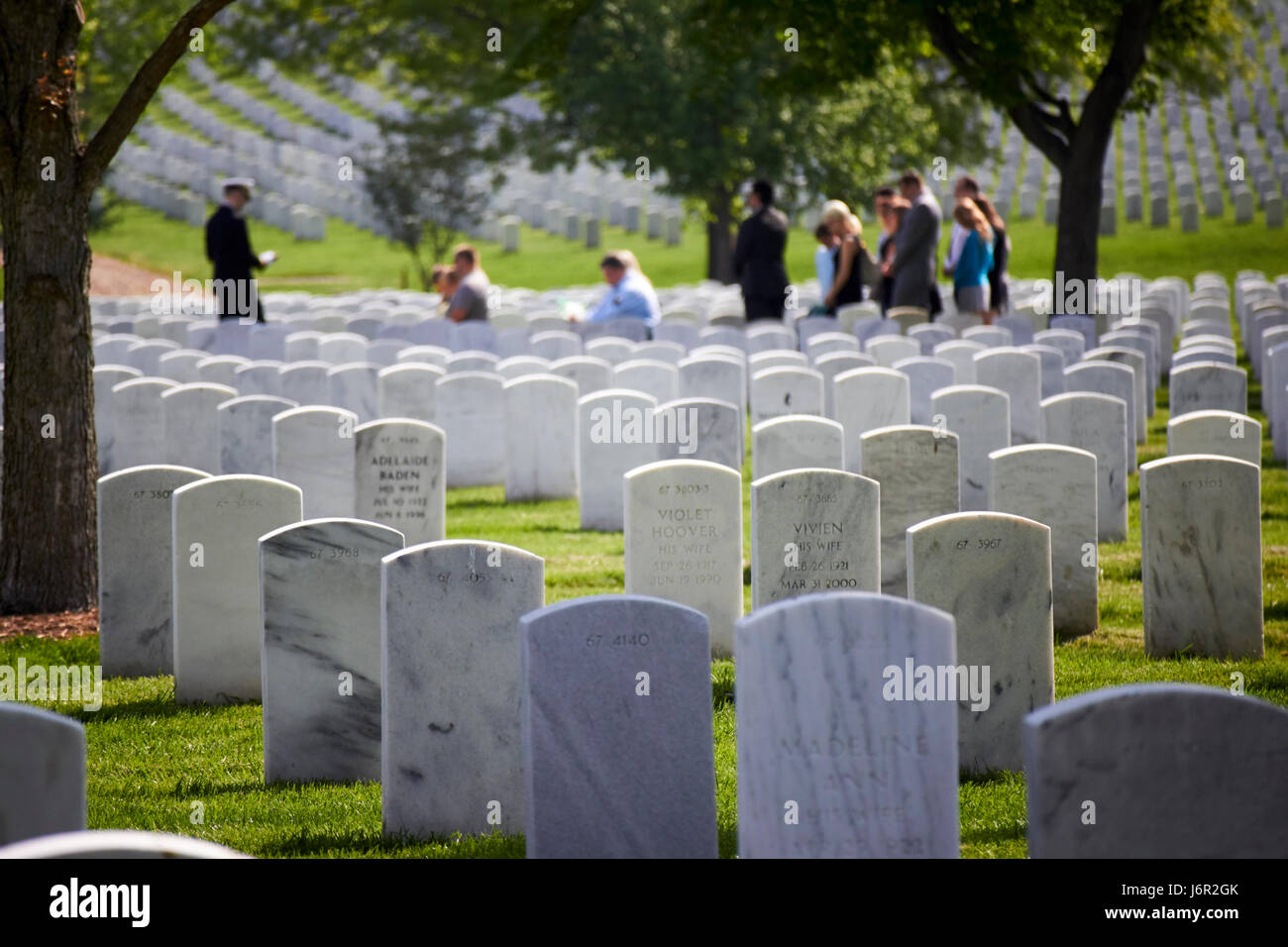Reihen von weißen Grabsteinen unter Bäumen mit Trauerfeier im Hintergrund auf dem Arlington Cemetery Washington DC USA Stockfoto