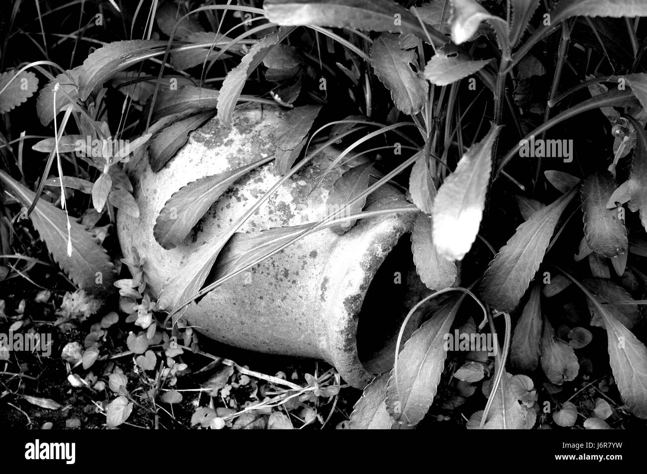 Garten Topf in unter Wachstum Stockfoto