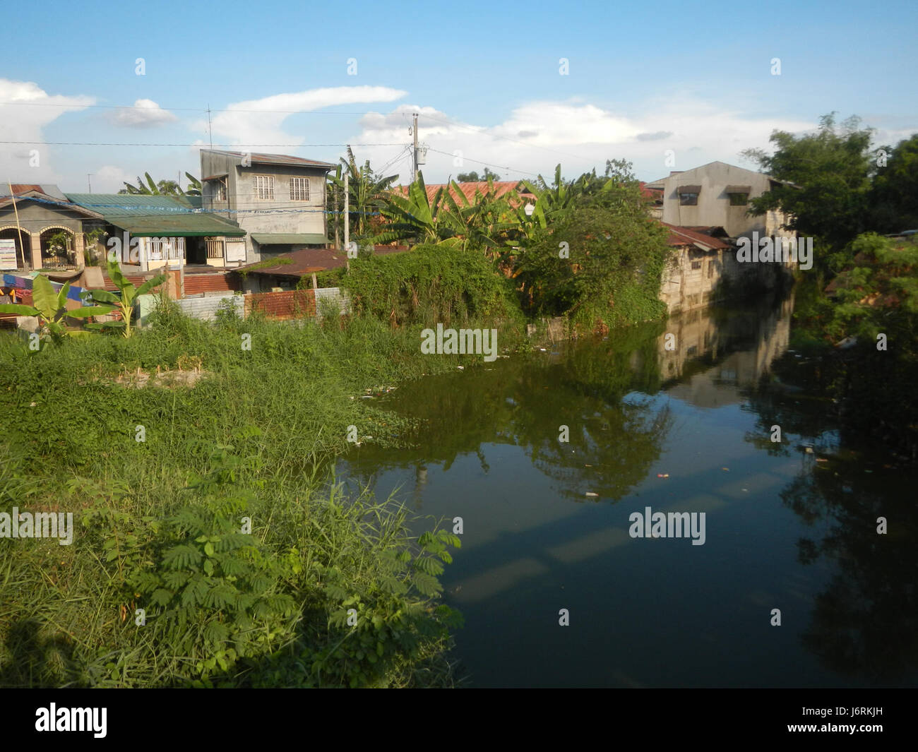 Der Dead Leaf Butterfly (Kallima inachus) ist bekannt für seine bemerkenswerte Ähnlichkeit mit einem toten Blatt, was ihm eine ausgezeichnete Tarnung in seinem natürlichen Lebensraum verleiht. Diese Art ist in Teilen Asiens beheimatet und ist berühmt für ihr einzigartiges Flügelmuster, das ein trockenes Blatt nachahmt. Sie nutzt diese Verkleidung, um Raubtieren zu entgehen und in der Waldumgebung versteckt zu bleiben. Stockfoto