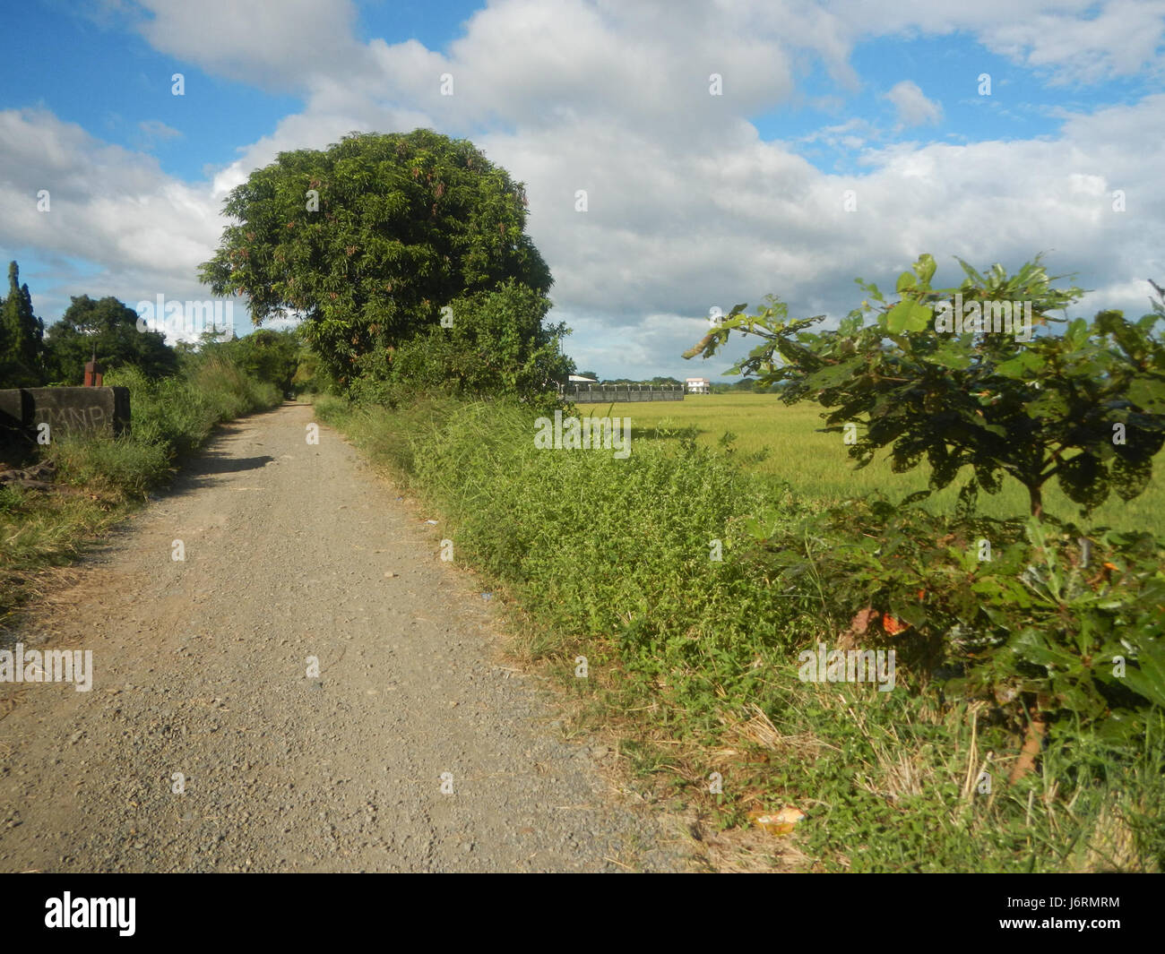 Dieses Foto zeigt die Landschaft von Talampas, Bustos, Bulacan ...