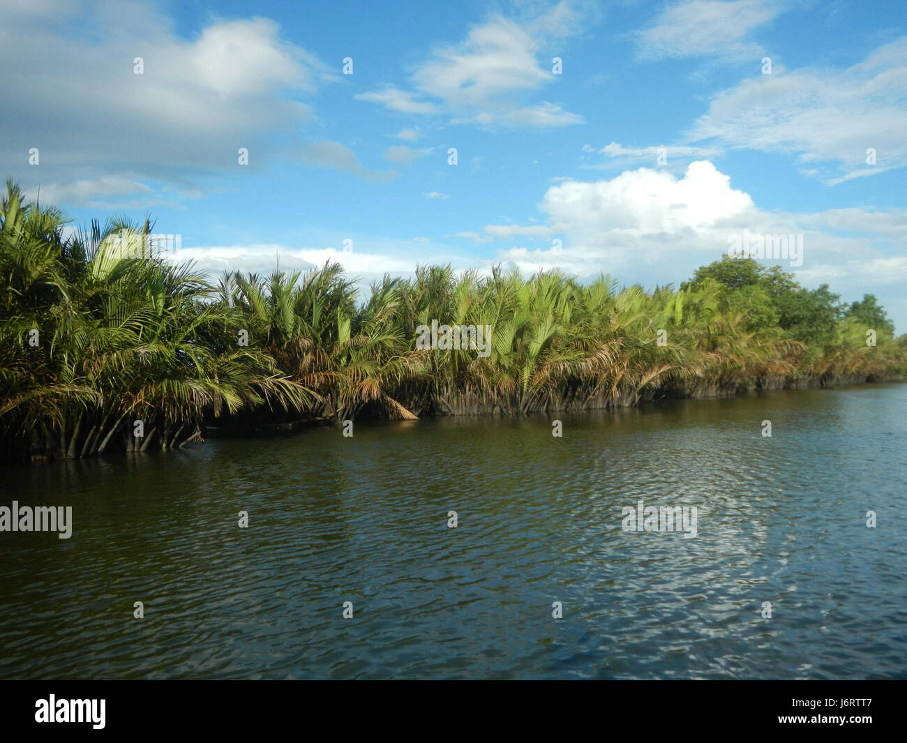 06833 Malolos Bulakan River Bezirke Panasahan San Nicolas River Banken