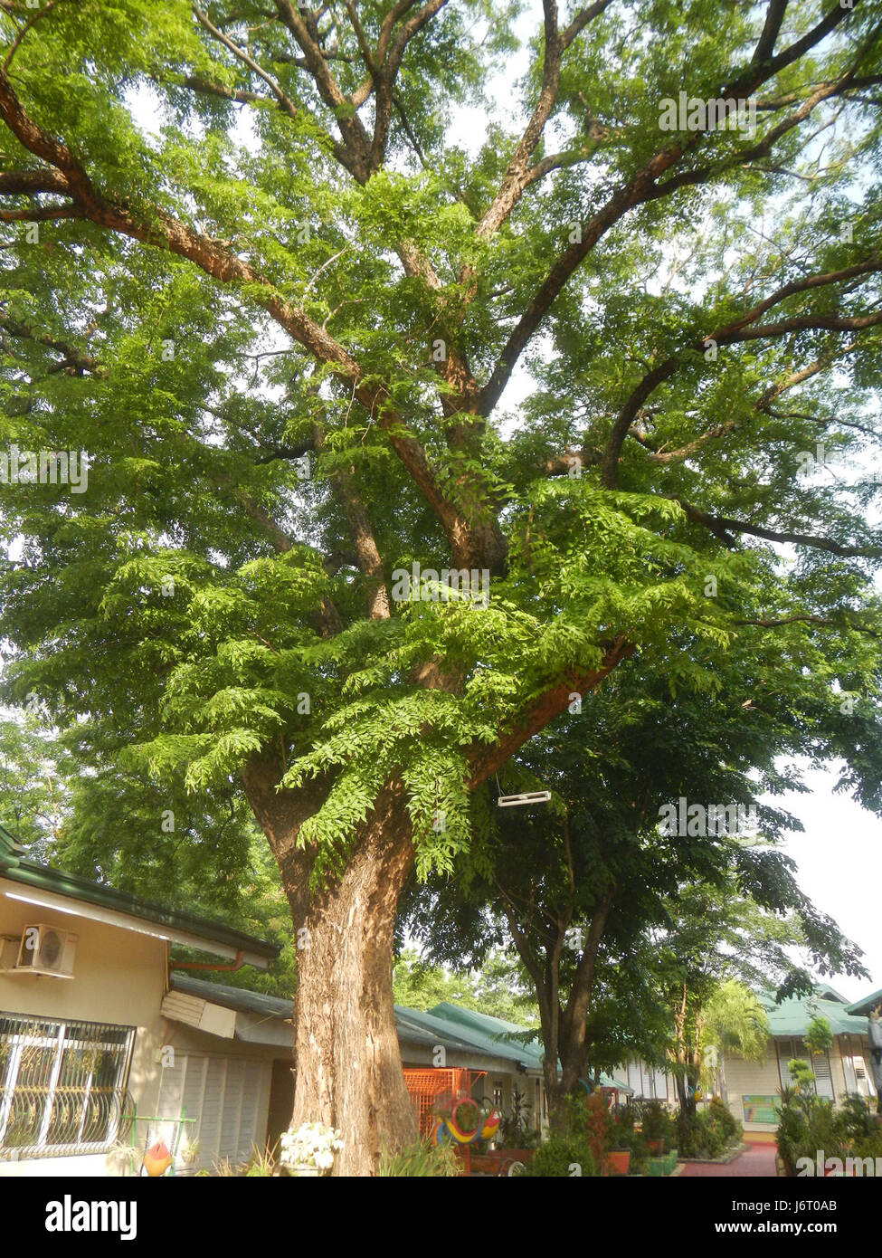 Das Heilig-Kreuz-fest ist eine jährliche Veranstaltung in Santa Ana, Bulacan, Philippinen. Es ist eine Feier der lokalen Kultur mit traditionellen Aufführungen und Gemeinschaftsaktivitäten. Stockfoto